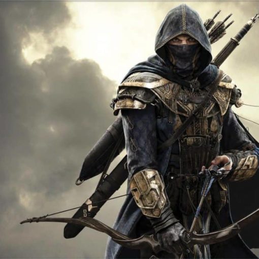Elder Scrolls Online временно закрывает банки гильдий
