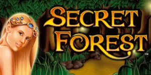 Самые популярные игровые аппараты Фреш казино: слот Secret Forest