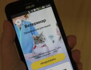 Создание мобильного приложения для ветеринарной клиники