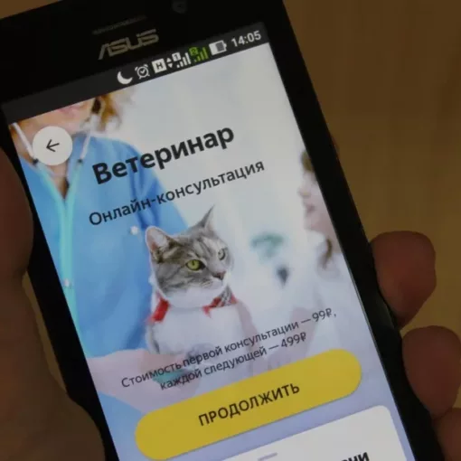 Создание мобильного приложения для ветеринарной клиники