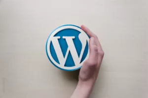 WPRipper.ru: Платформа для бесплатной загрузки WordPress продуктов на русском языке