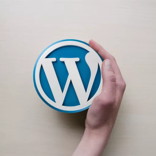 WPRipper.ru: Платформа для бесплатной загрузки WordPress продуктов на русском языке